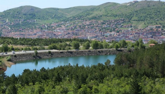 Yozgat Çamlık
