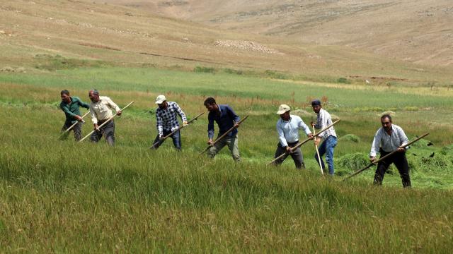 Yozgat'ta kuraklık desteği ödemeleri başladı
